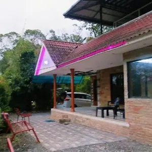 butterfly-cottage-vagamon-685503.kerala-hotels.net/