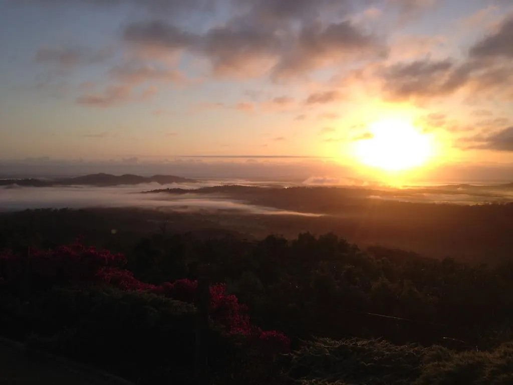 Highwood Park B&B Guest Lodge Maleny